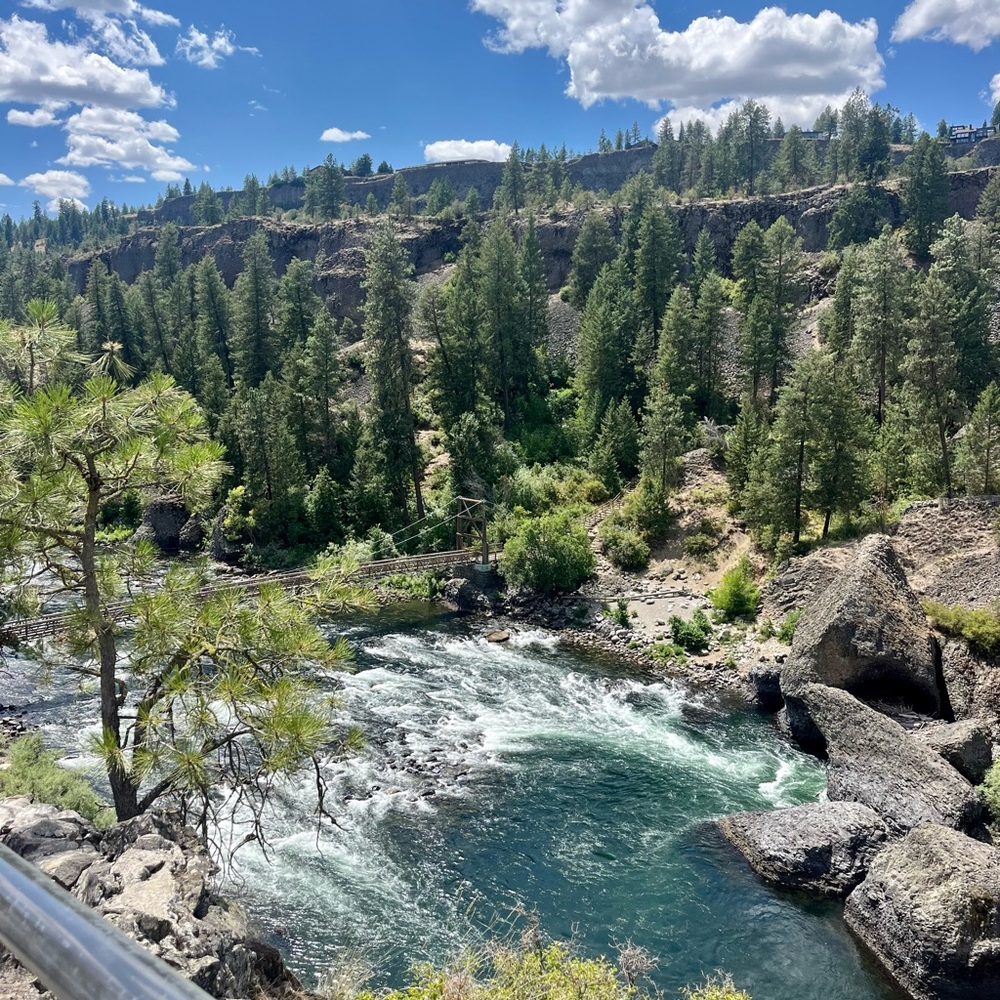 Meet your Posher, Iliana